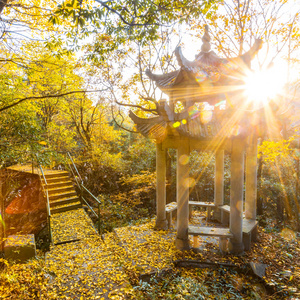 亭下的风景