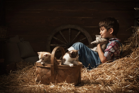 男孩玩耍着小猫在谷仓里图片