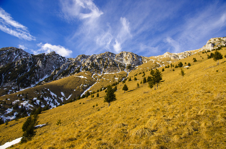 春山风景