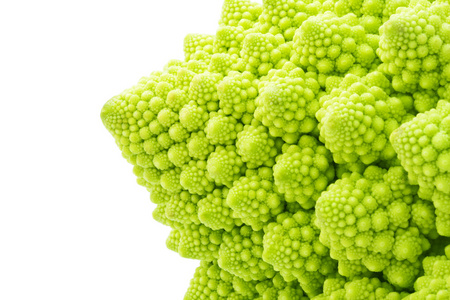 romanesco 西兰花