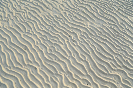 白色的沙滩。珊瑚沙。自然背景
