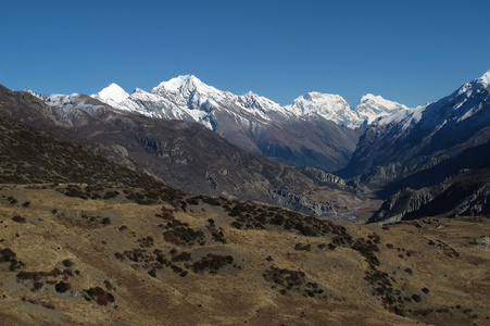 皮桑峰和山地草甸