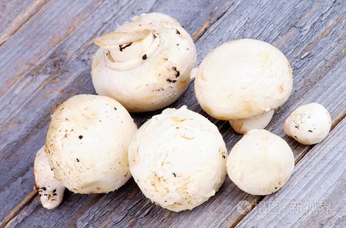 白色的香菇蘑菇