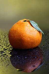 成熟的甜橘，在深色背景上
