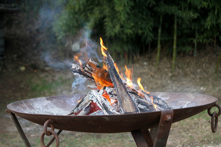 在火盆中的火图片