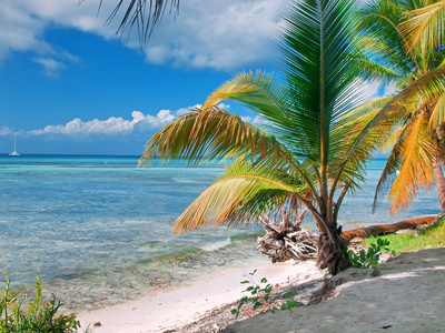 在多米尼加共和国的热带海滩。加勒比海。岛萨翁