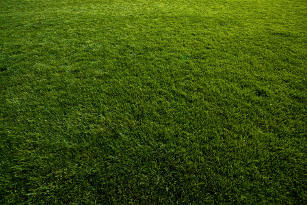 绿色的草坪足球场