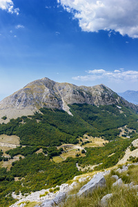 在黑山北部的国家公园