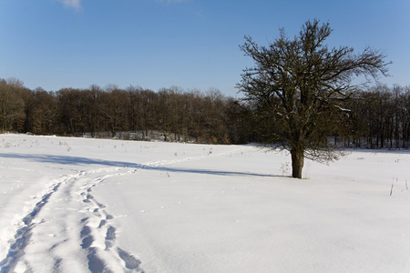 雪