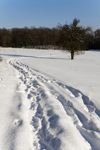 雪