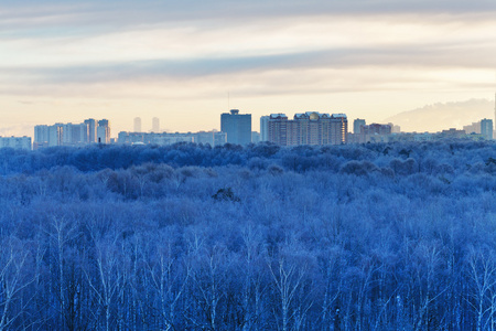 aube froid sur le parc de ville gele bleu en hiver