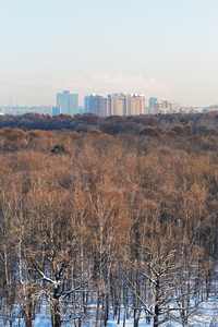 在城市公园在冬天的阳光寒冷的早晨