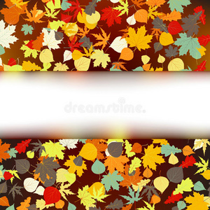 多彩的秋季设计模板。每股收益8