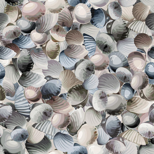 图案的贝壳图片