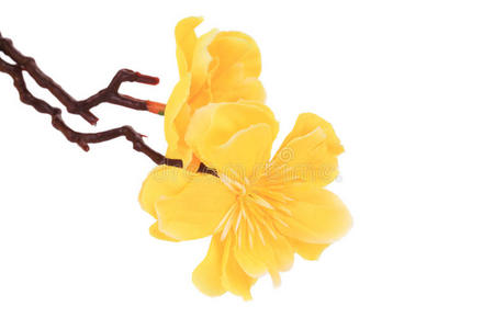 美丽的黄色人造花。