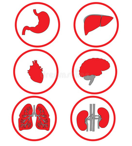 白色上的红色图标是内脏。光栅