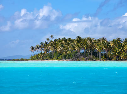 海洋中有棕榈树的热带岛屿