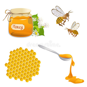 蜂巢 风味 插图 自然 农业 细胞 食物 蜂蜜 昆虫 收集