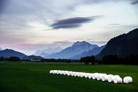 美丽的 自然 风景 干草 颜色 岩石 阴影 奥地利 环境