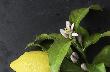 柠檬水果和鲜花