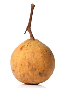 白底檀香果照片