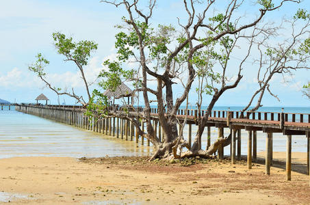 通往koh mak岛海的木制码头