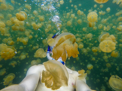 在水母湖游泳