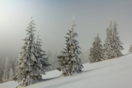 冬天大雪山边坡