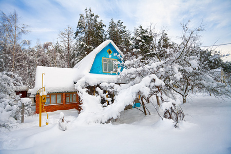 白雪覆盖的房子和花园