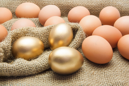 鸡蛋与金蛋
