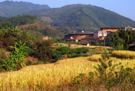 福建省位于中国东部风景如画的乡村景观照片
