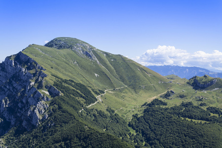 山景