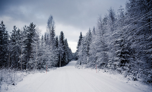 在芬兰中部的雪景