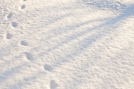 雪背景中的脚印