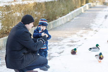父亲和小儿子在冬天喂鸭