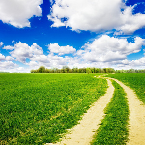 绿色的田野,在落日的天空下照片