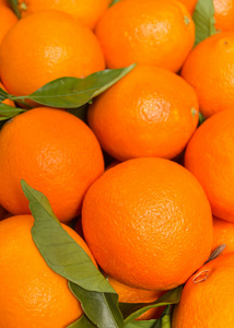 采集的新鲜可口的巴伦西亚橘子