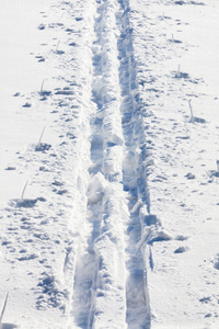 越野滑雪道