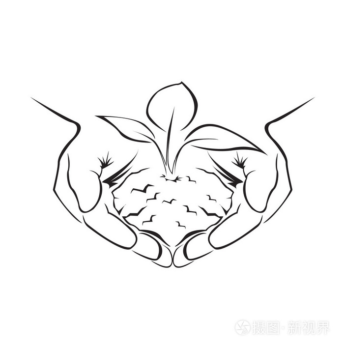 只手握住绿色的植物