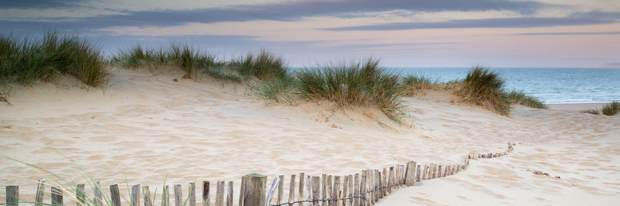 全景景观的沙丘系统在日出时的海滩上