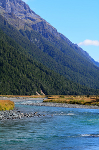 峡湾   新西兰