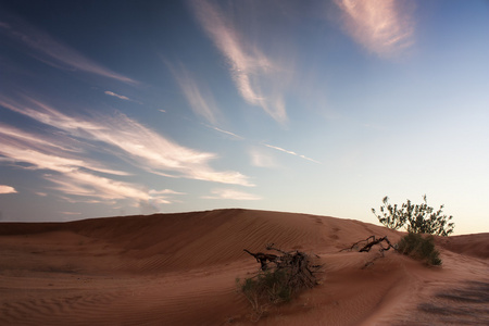 迪拜沙漠中与美丽 sandunes