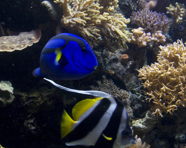 水族馆