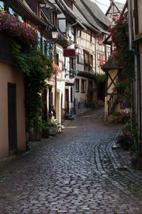 街与半砖木结构的中世纪房屋在 eguisheim 村沿在法国阿尔萨斯的著名葡萄酒路由