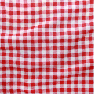 红色和白色格仔的野餐毯子