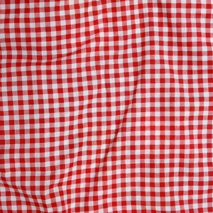 红色和白色格仔的野餐布兰科