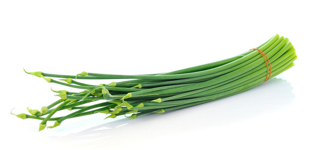 小葱花图片-小葱花素材-小葱花插画-摄图新视界