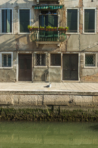 威尼斯，意大利。城市的景色