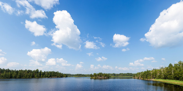 夏天风景