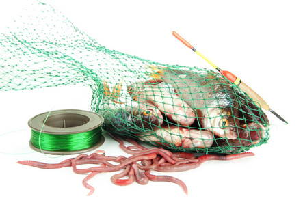 鱼类的渔网被隔绝在白色